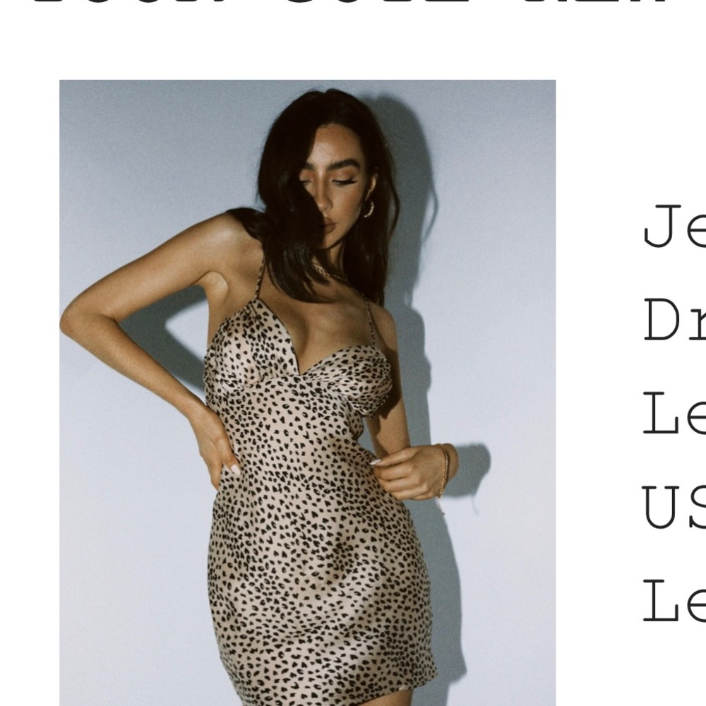 Cheetah print dress (never worn)